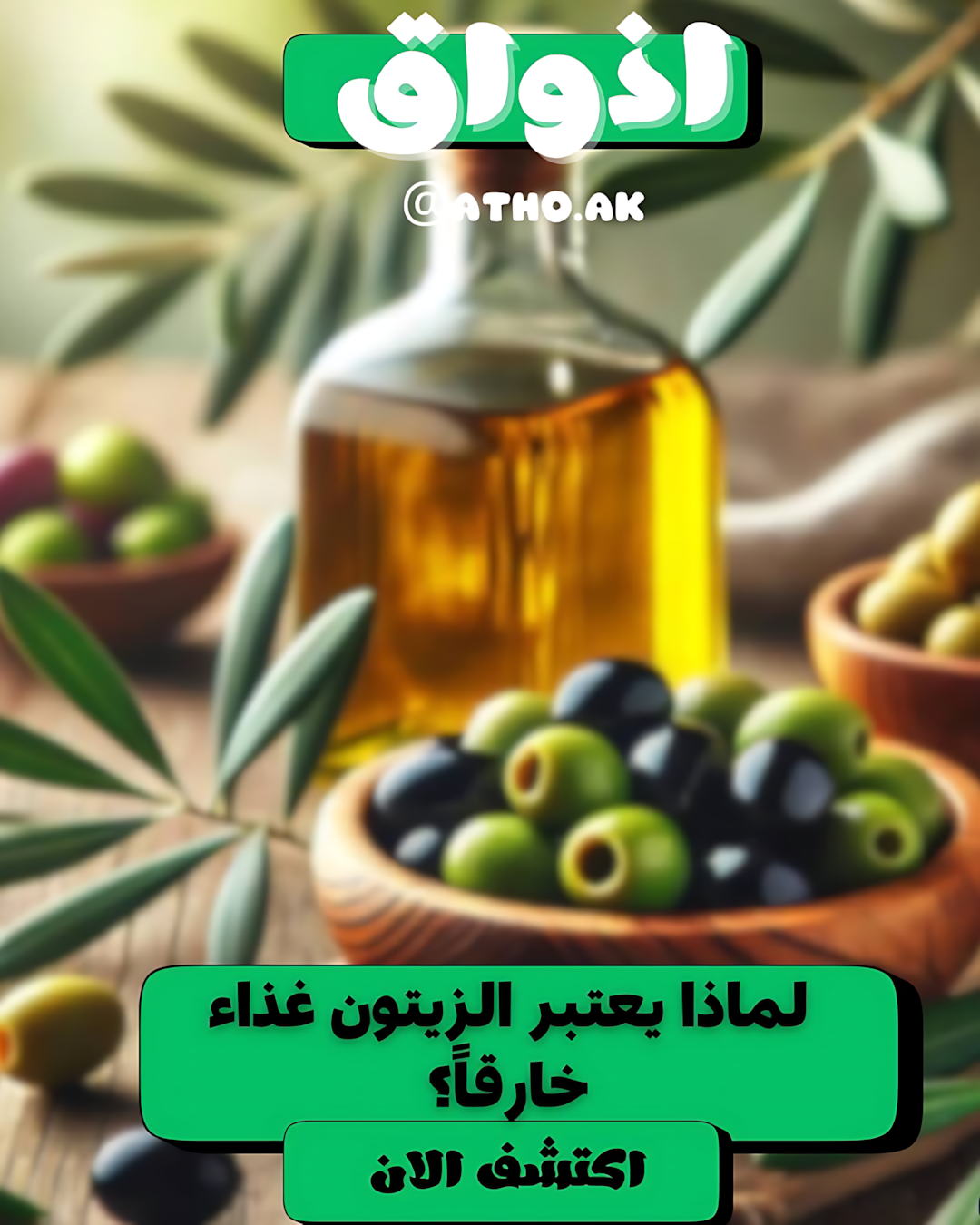 الزيتون… شجرة السلام ومائدة الفائدة