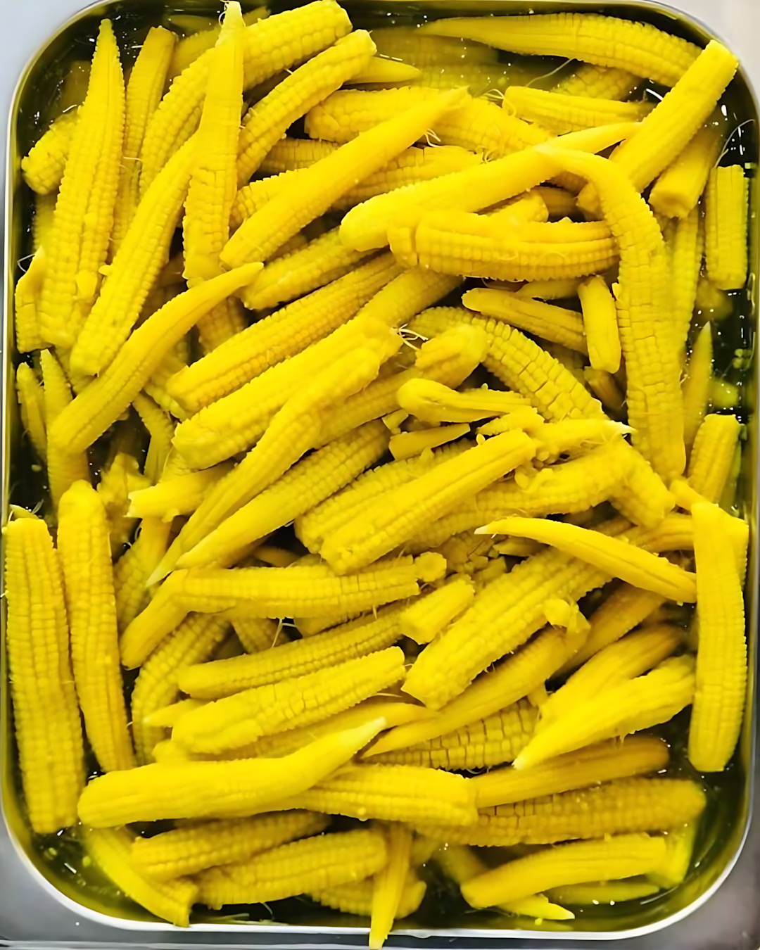طرشى 11