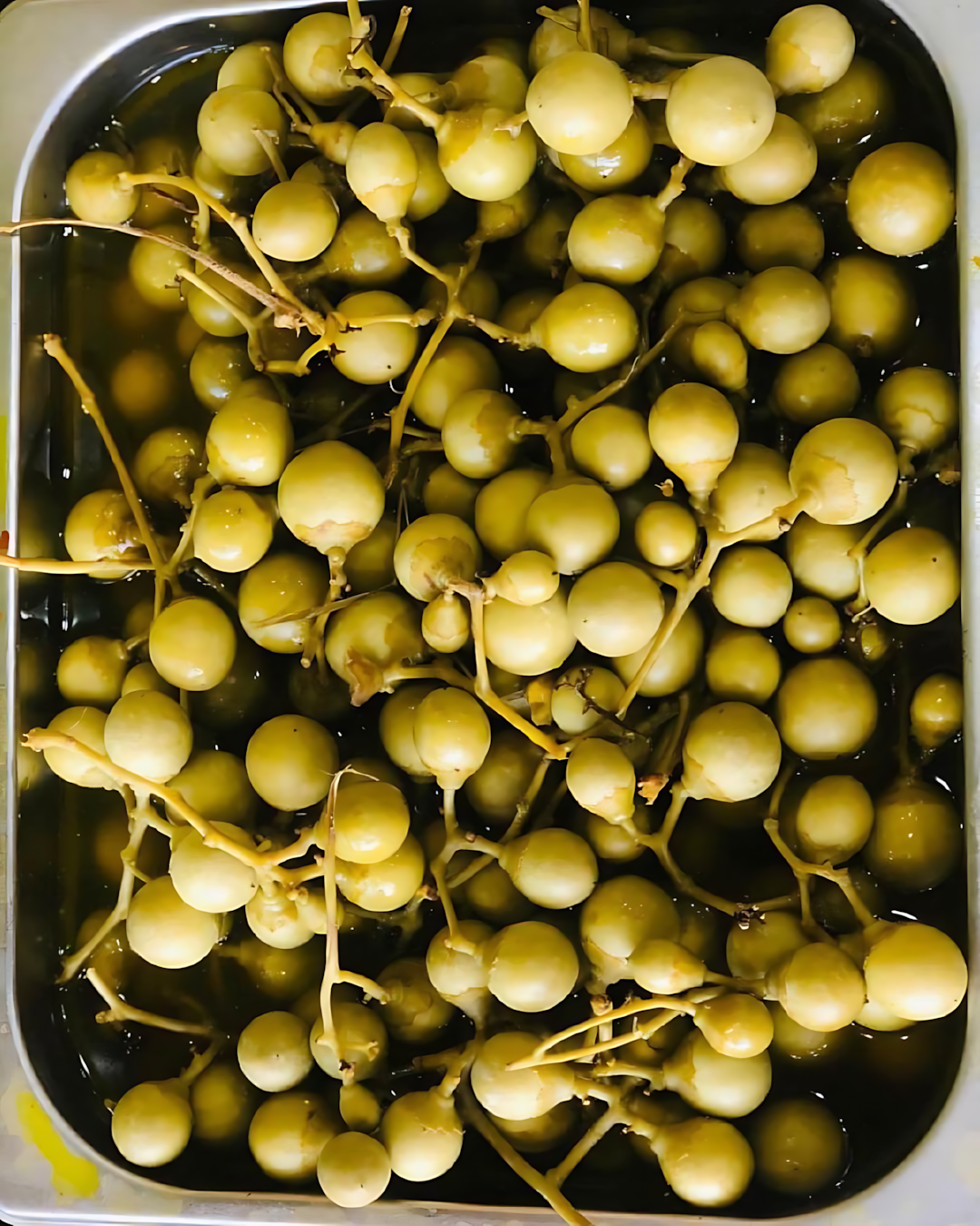 طرشى 2