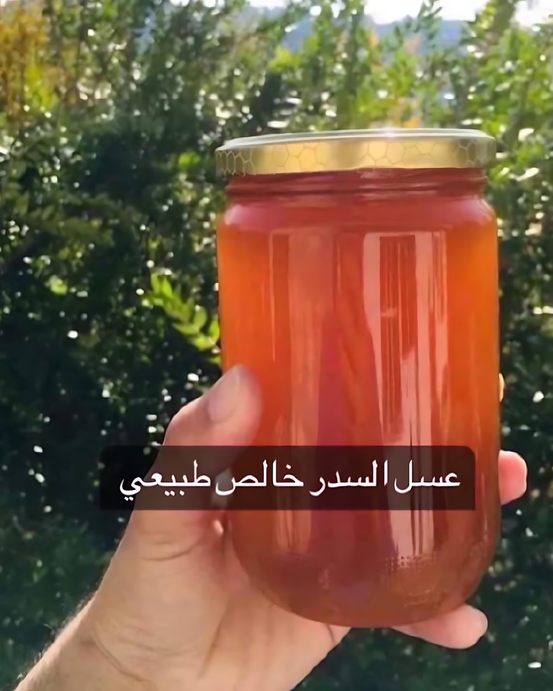 كيلو عسل 6