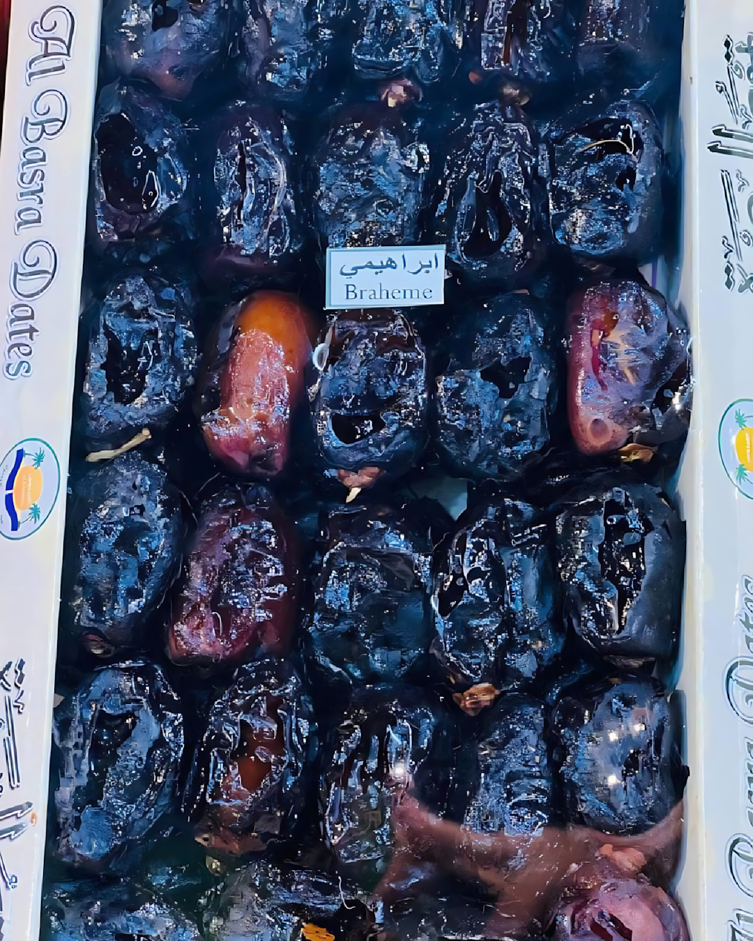 تمر ابراهيمى